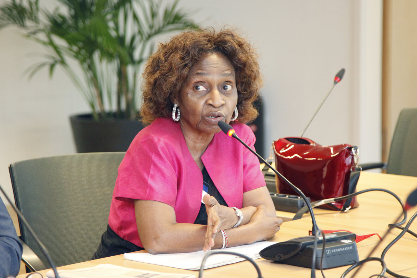 prof-olateju-somorin_48084866358_o